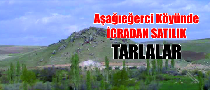 Aşağıeğerci köyünde, tarlalar icradan satışa çıktı