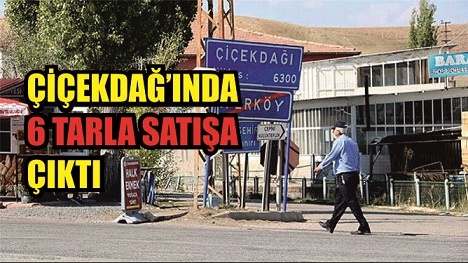 Çiçekdağı ilçesinde, 6 Taşınmaz Tarla Satışa Çıktı. İlanın detayı aşağıda