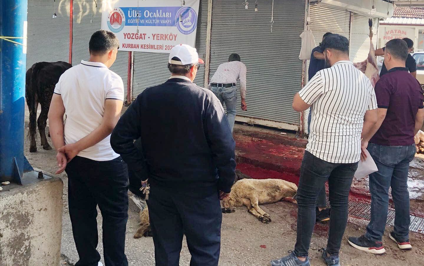 Yerköy Ülkü Ocakları İlçe Başkanlığı, Kurban Bayramı’nda hayırsever vatandaşların kurbanını