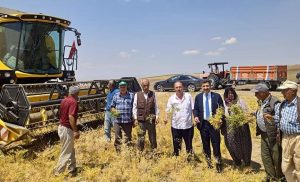 Yerköy Belediye Başkanı Ferhat Yılmaz, tarlalarda hasat yapmaya başlayan çiftçileri