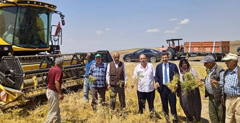 Başkan Yılmaz, tarlalarda hasat yapan çiftçileri ziyaret etti