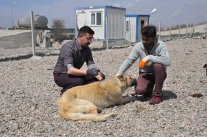 Yerköy Belediyesi Veteriner Hekimi İlhan Yılmaz, Türkiye’nin çeşitli bölgelerinden basına