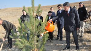 11 Kasım ‘Milli Ağaçlandırma Günü’ nedeniyle Yerköy 100. Yıl Mahallesi
