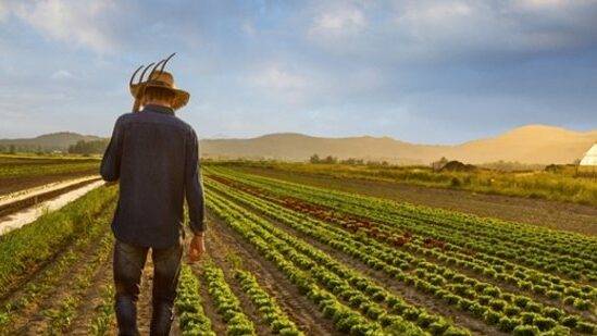 Kahramanmaraş merkezli 10 ilimizi etkileyen deprem felaketi sonrasında, Tarım ve