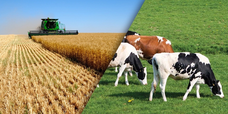 Yozgat İl Tarım ve Orman Müdürlüğü “Uzman Eller” Projesi ile