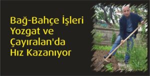 Yağışların ardından hava sıcaklıklarının artmasıyla birlikte Yozgat’ta bağ-bahçe işleri de
