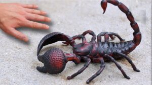 Yerköy Devlet Hastanesi Başhekimliği, akrep sokmalarıyla ilgili olarak vatandaşları bilgilendirmek