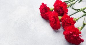 En içten bayram dileklerimle, sevdiklerinle birlikte mutluluk, huzur ve neşe