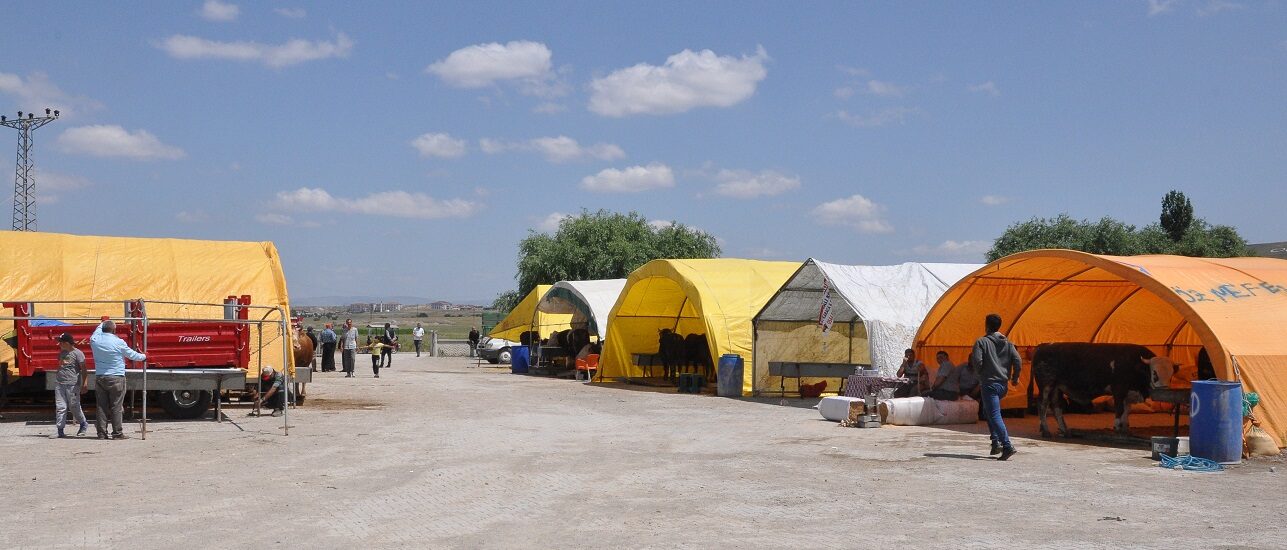 Yerköy Belediye Başkanı Ferhat Yılmaz, yeni kurban pazarının, yeni mezbahana