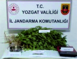 Yerköy ilçemizde evinde uyuşturucu madde imal eden ve satan zanlı