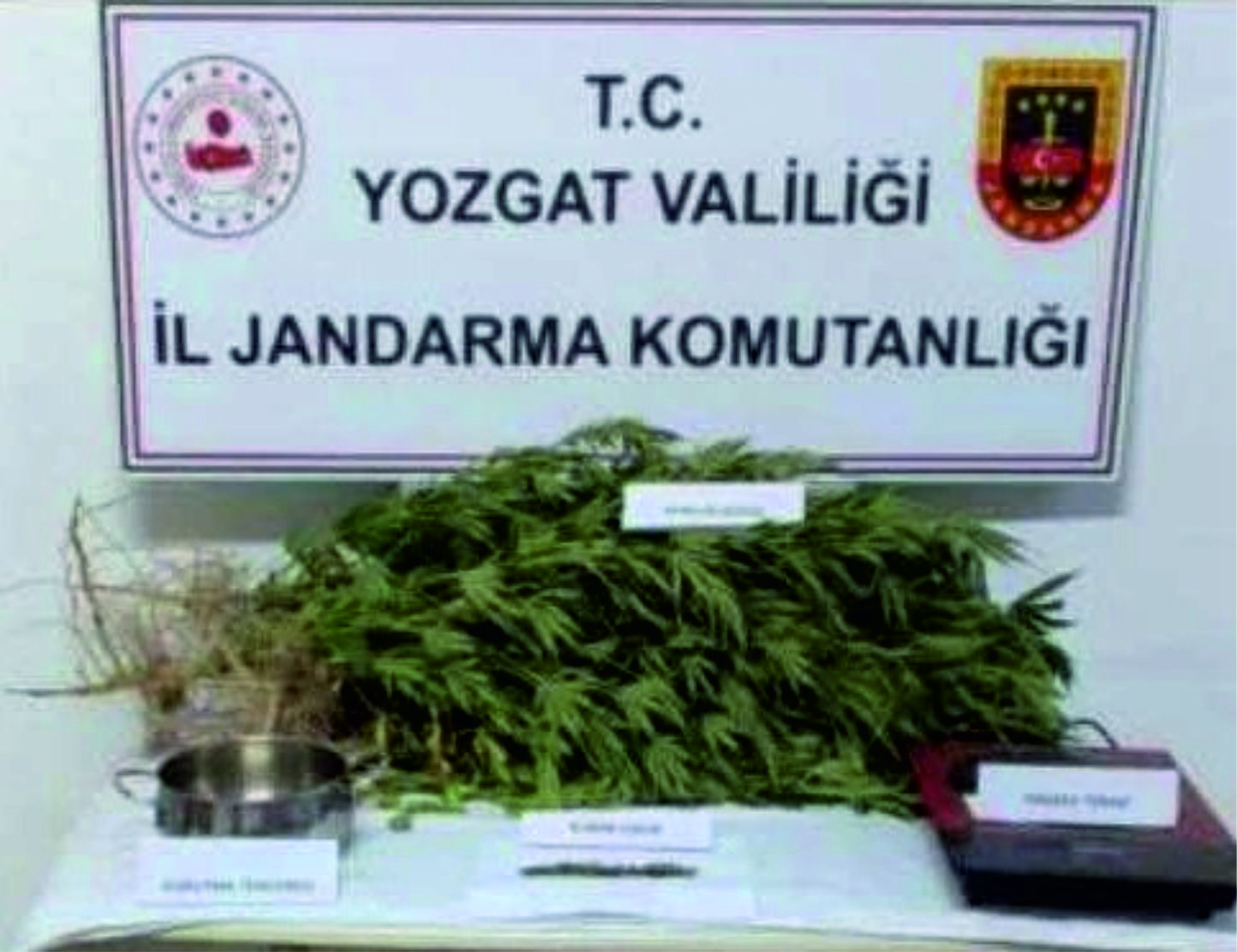 Yerköy’de uyuşturucu ticareti yapan zanlı tutuklandı Yerköy ilçemizde evinde uyuşturucu madde imal eden ve satan zanlı