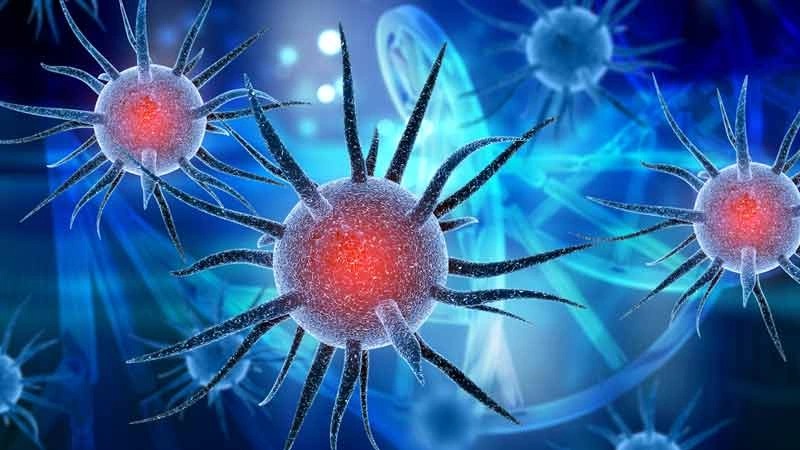 Enfeksiyon Hastalıkları: Belirtileri, Tedavi Yöntemleri ve Korunma İpuçları Enfeksiyon hastalığı, organizmanın vücuduna giren patojen mikroorganizmaların neden olduğu bir