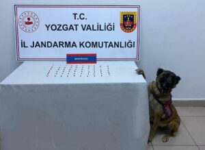Yozgat İl Jandarma Komutanlığı ekiplerince bir araçta 61 adet sentetik hap