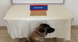 Yozgat İl Jandarma Komutanlığı, uyuşturucu madde kullanan ve ticaretini yapan