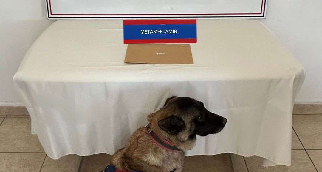 Yozgat İl Jandarma Komutanlığı, uyuşturucu madde kullanan ve ticaretini yapan