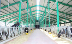 Süt üretimi ve su ürünleri işleme projelerine büyük destek