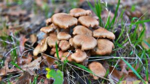 Yerköy 1 Nolu Aile Sağlık Merkezi’nde görevli Dr. Murat Yıldırım,