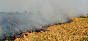 Yerköy İlçe Tarım ve Orman Müdürlüğü, sosyal medya hesabından yaptığı