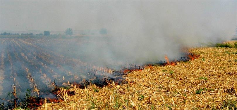 Yerköy İlçe Tarım ve Orman Müdürlüğü, sosyal medya hesabından yaptığı