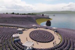 Çekerek ilçesinde yarımada üzerine kurulan lavanta bahçesi, mor renge bürünmesiyle