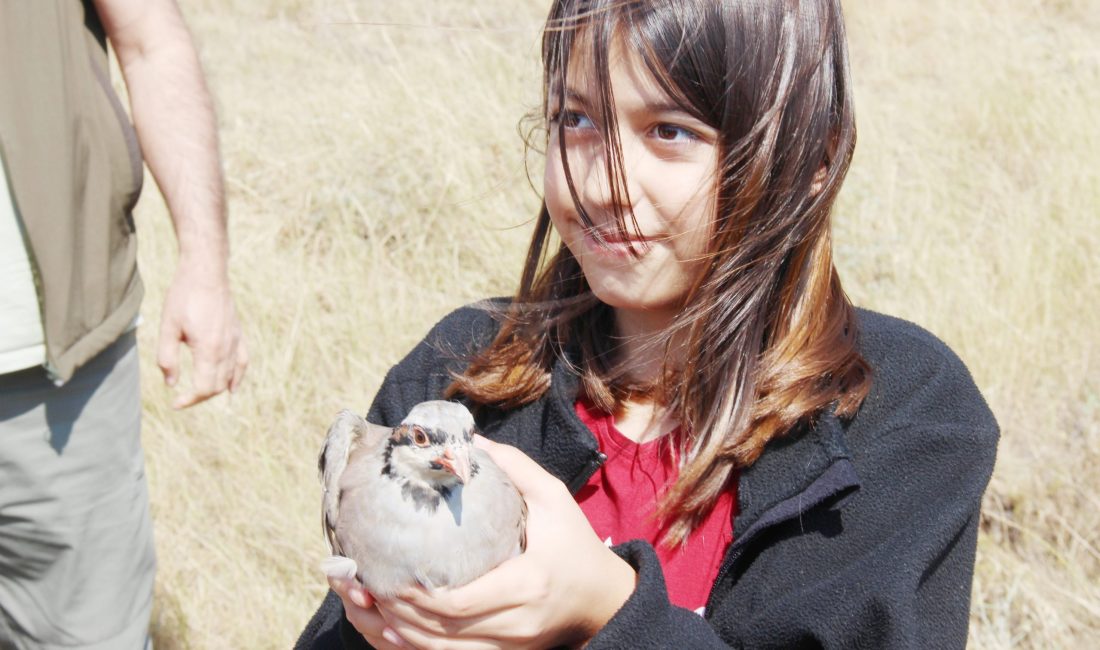 Yozgat Valisi Mehmet Ali Özkan’ın Katılımıyla 800 Keklik Doğaya Bırakıldı Yozgat’ta bulunan Keklik Üretim İstasyonu’nda bu yıl üretilen 800 adet