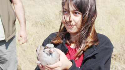 Yozgat’ta bulunan Keklik Üretim İstasyonu’nda bu yıl üretilen 800 adet