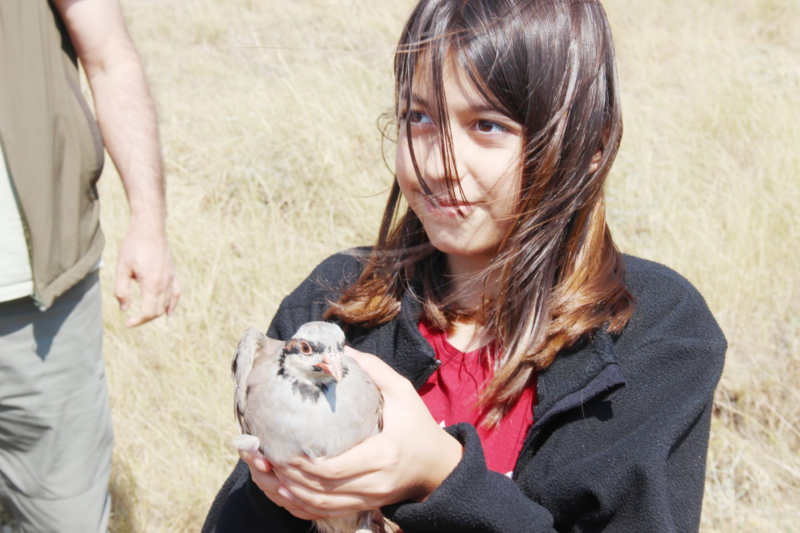 Yozgat’ta bulunan Keklik Üretim İstasyonu’nda bu yıl üretilen 800 adet