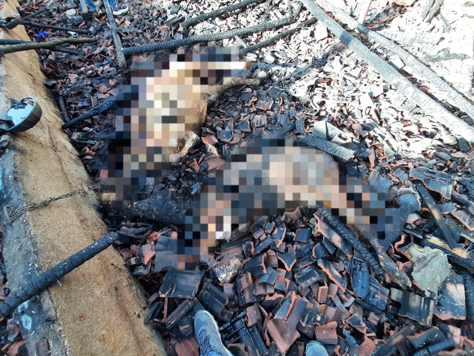 Yozgat’ın Sorgun ilçesi Gülşehri beldesi Çötelli mahallesinde çıkan ahır yangınında