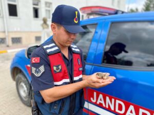 Yozgat’ın Saraykent ilçesine bağlı Benli köyünde, gerçekleştirilen önleyici kolluk devriyesi