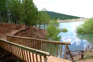 Yozgat’ın Yeşil Hazinesi: Çamlık Milli Parkı! Türkiye’nin ilk milli parkı,