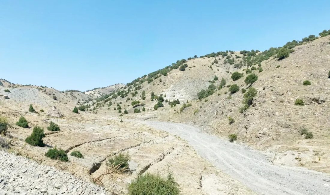 Türkiye Dayanıklı Peyzaj Entegrasyonu Projesi (TULİP) kapsamında Çekerek ilçesinin Çandır