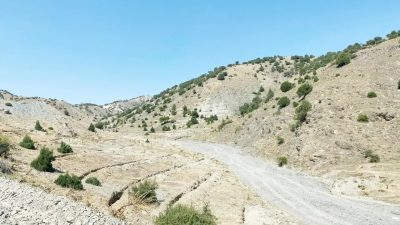 Türkiye Dayanıklı Peyzaj Entegrasyonu Projesi (TULİP) kapsamında Çekerek ilçesinin Çandır