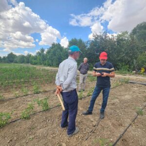 Yerköy İlçe Tarım ve Orman Müdürlüğü’nden Tarım Alanında Kapsamlı Destek: