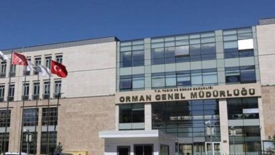 Tarım ve Orman Bakanlığına bağlı Orman Genel Müdürlüğü merkez teşkilatında
