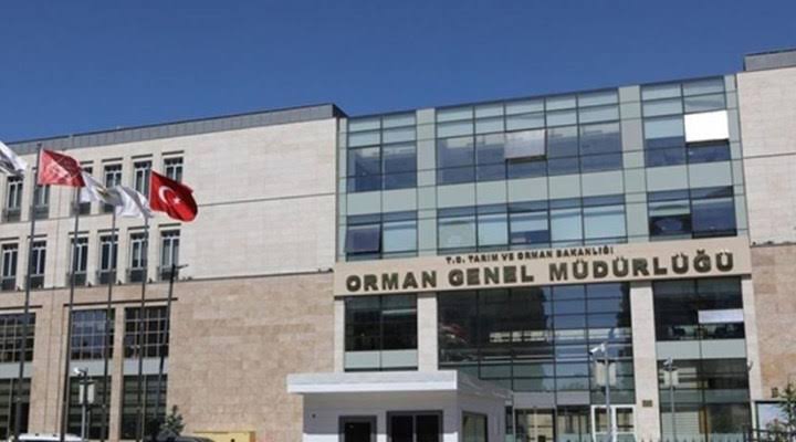 Tarım ve Orman Bakanlığına bağlı Orman Genel Müdürlüğü merkez teşkilatında