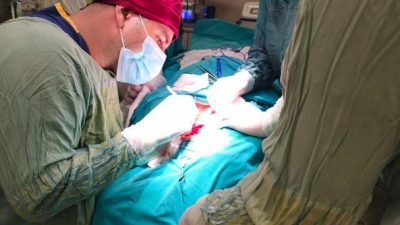 Baş boyun bölgesinde tükürük bezi kanserlerinin teşhis ve tedavisi, başarılı