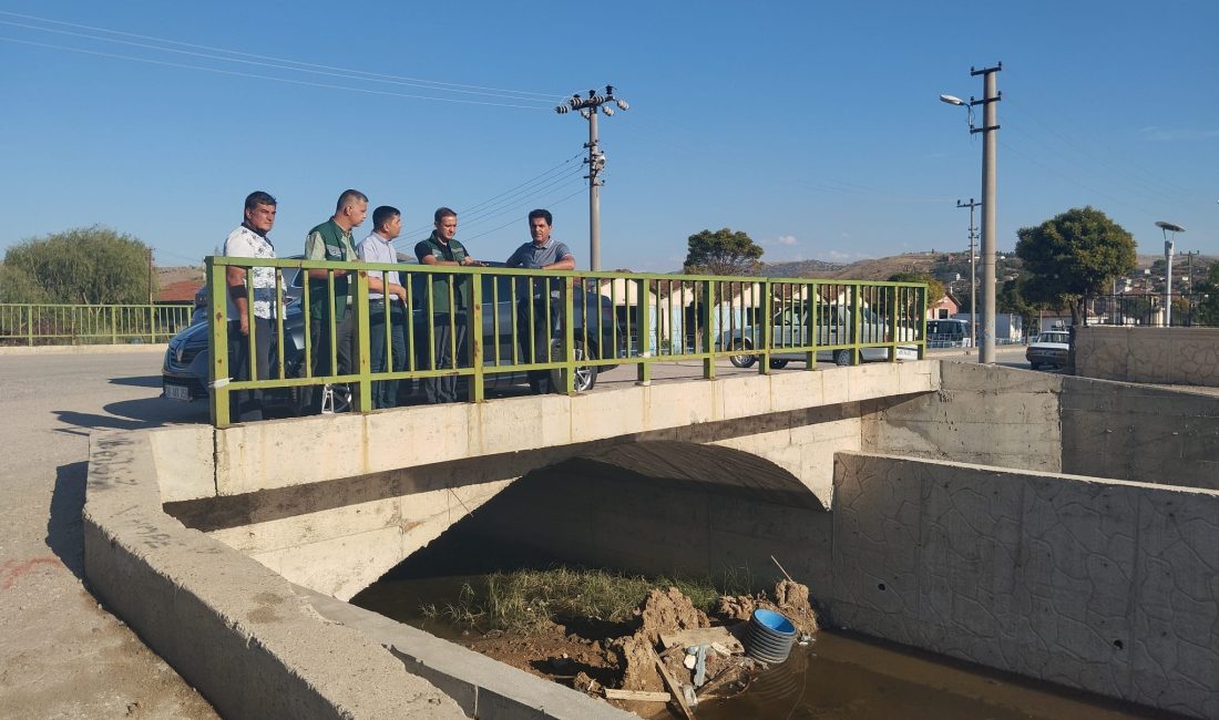  Devlet Su İşleri (DSİ) Genel Müdürlüğü, Türkiye genelinde taşkın