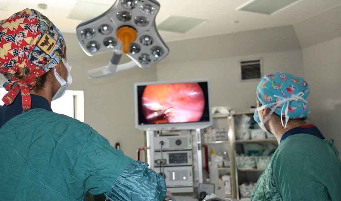 Jinekolojik Onkoloji Uzmanları Op. Dr. Nazlı Aylin Vural ve Op.