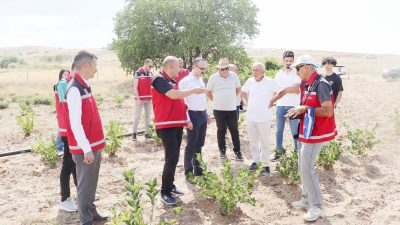 Gülistan Köyü’ne Aronya ve Lavanta Bahçesi: Şefaatli Kaymakamı ve İl