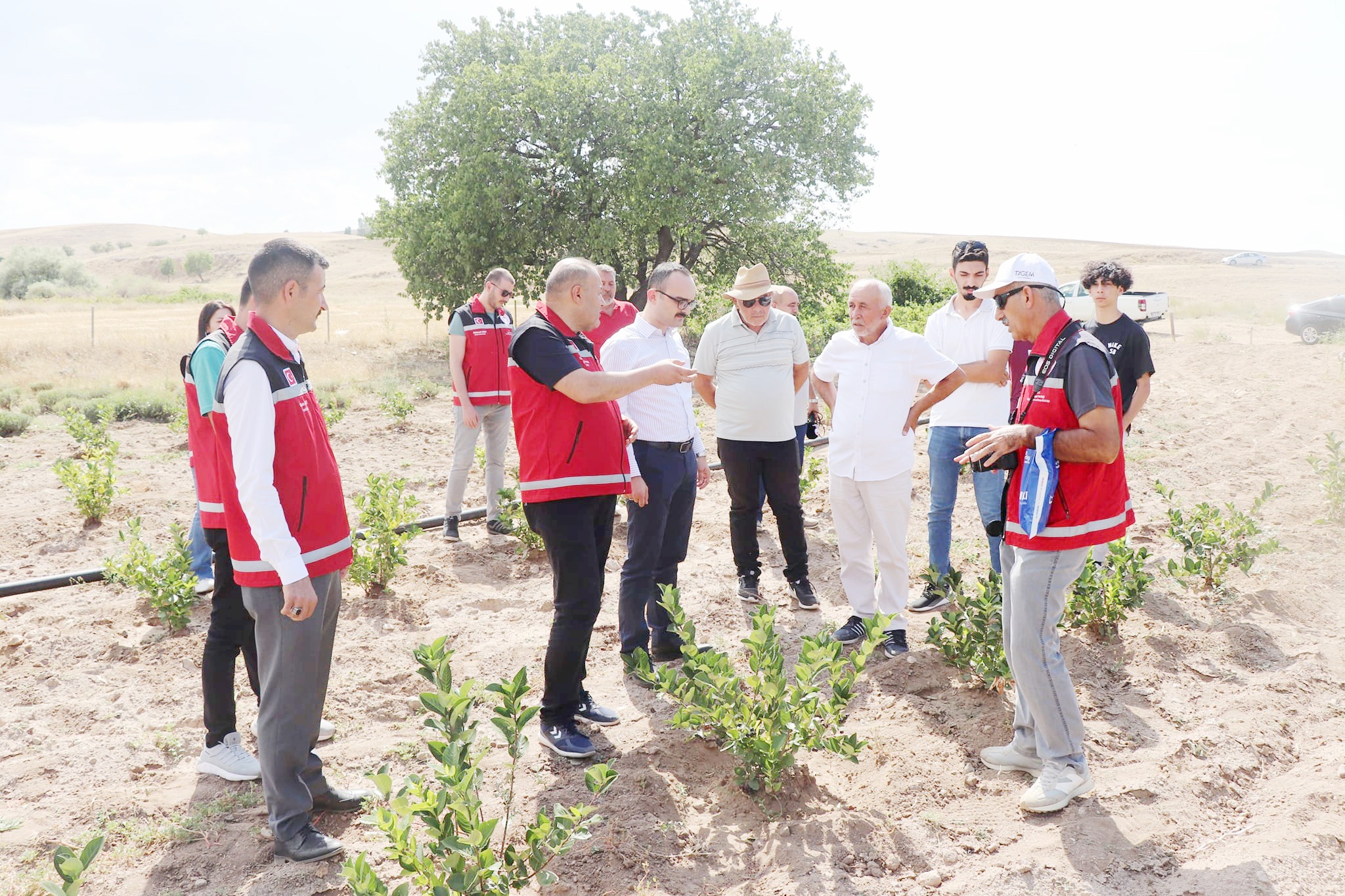 Gülistan Köyü’ne Aronya ve Lavanta Bahçesi: Şefaatli Kaymakamı ve İl