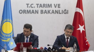 Tarım ve Orman Bakanı İbrahim Yumaklı, Soğan ve Domateste Rekolte