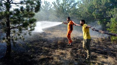 Yozgat'ın Çekerek İlçesinde Orman Yangını 5 Saatlik Yoğun Çabaların Ardından