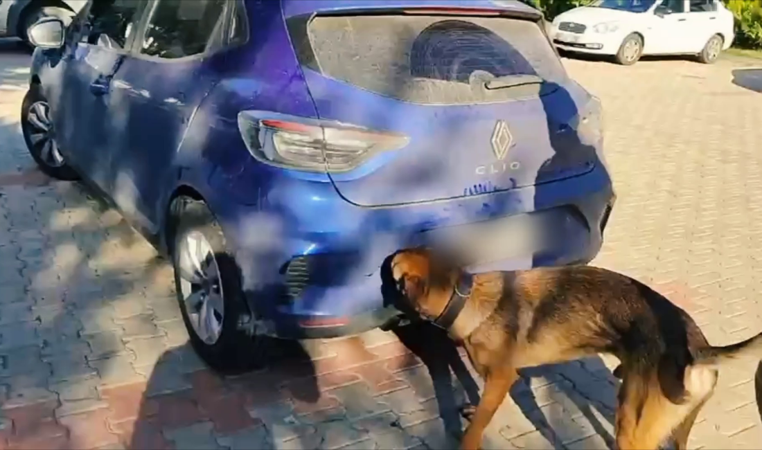 Yozgat Emniyetinden Başarılı Narkotik Operasyonu: Şüpheli araçta 166 adet sentetik