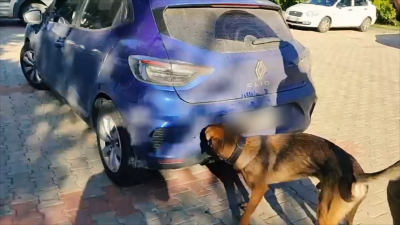 Yozgat Emniyetinden Başarılı Narkotik Operasyonu: Şüpheli araçta 166 adet sentetik