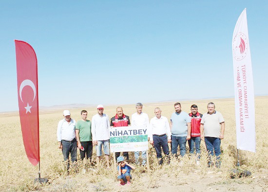 Yozgat Tarım ve Orman İl Müdürlüğü'nden Büyük Nohut Denemesi: Yeni