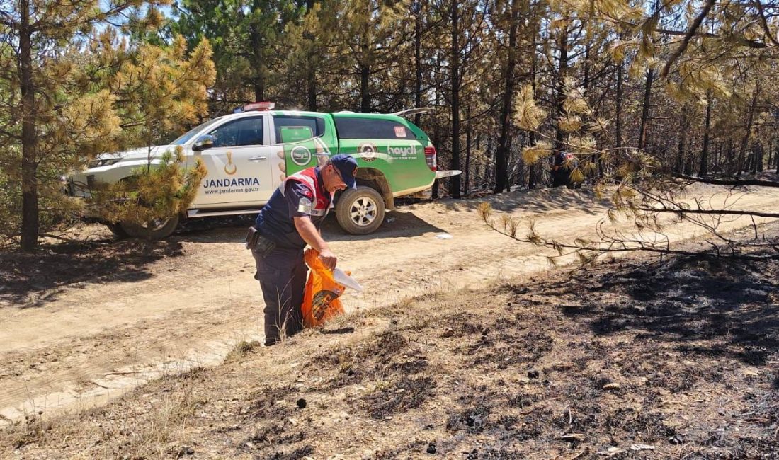 Isaklı Köyü Ormanlık Alanında Meydana Gelen Yangının Ardından Yaban Hayatına
