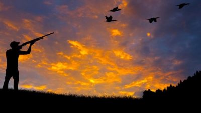 1.	2024-2025 Av Sezonu Başlıyor: Avlanma günleri, türleri ve izinler hakkında