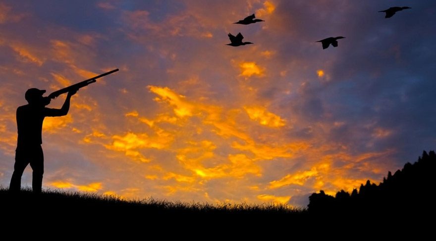 2024-2025 Av sezonu Türkiye genelinde başlıyor 1. 2024-2025 Av Sezonu Başlıyor: Avlanma günleri, türleri ve izinler hakkında
