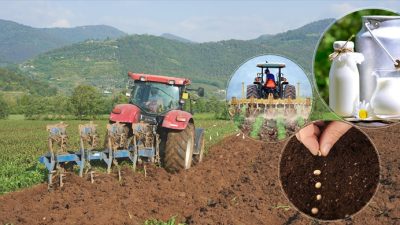Tarım ve Orman Bakanı İbrahim Yumaklı, bugün çiftçilerin hesaplarına toplam