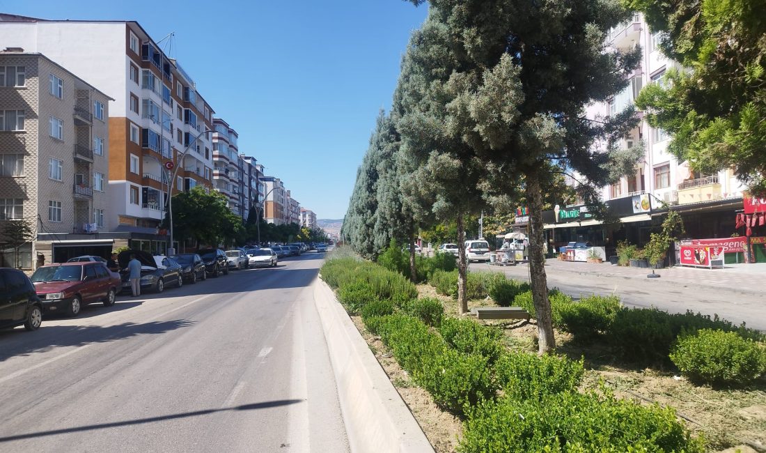 Yerköy İlçemizde 500 m² Büyüklüğündeki Arsa Açık Artırmaya Sunulacak: Detaylar